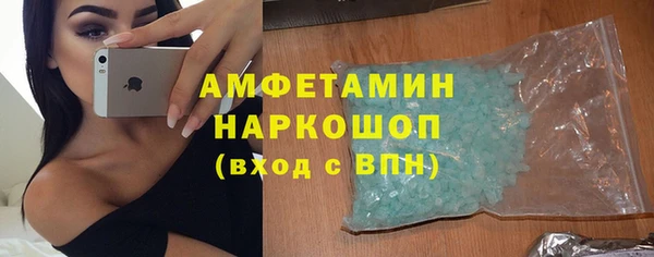 прущие грибы Балахна