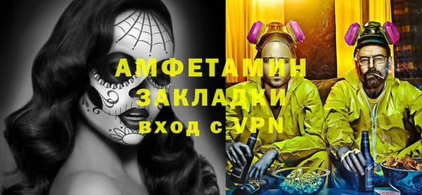 прущие грибы Балахна