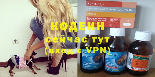 прущие грибы Балахна