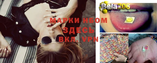 круглые Аркадак