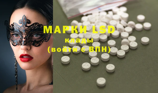 прущие грибы Балахна