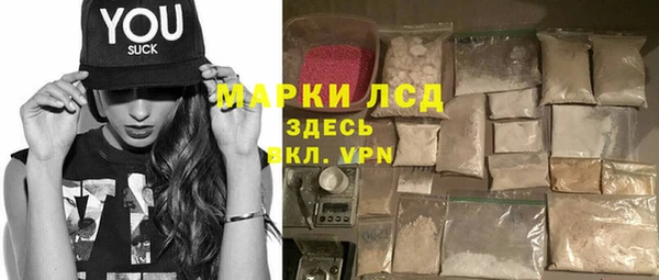 прущие грибы Балахна