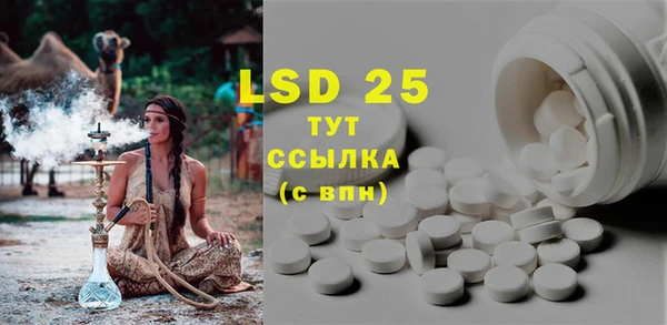 прущие грибы Балахна