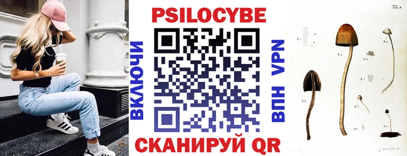 Псилоцибиновые грибы Magic Shrooms  Вязники 