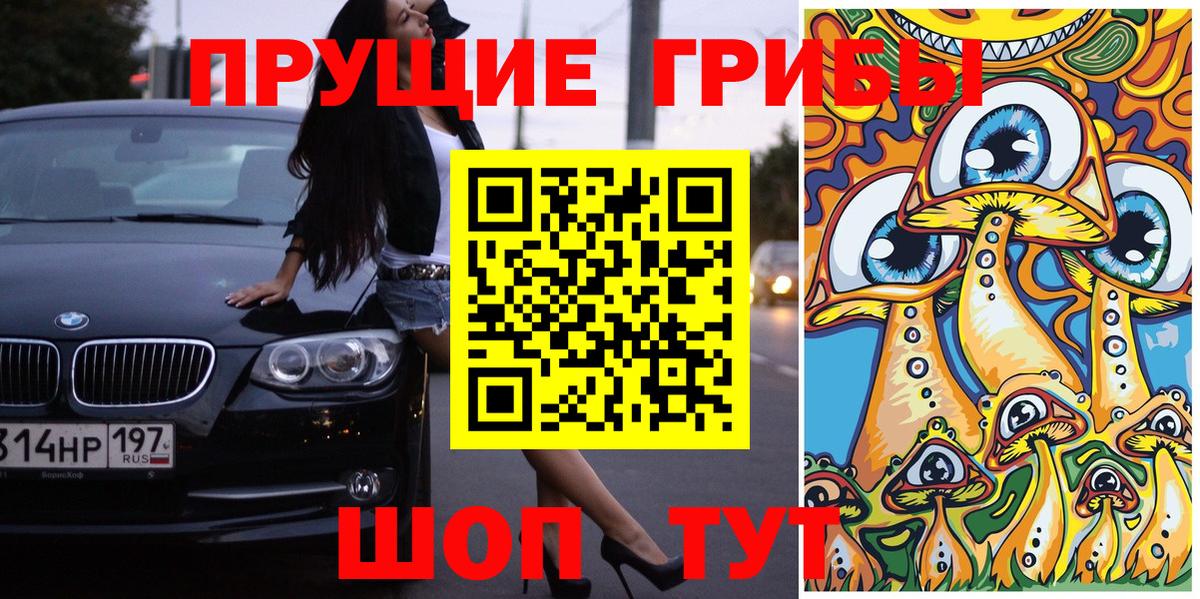 Псилоцибиновые грибы MAGIC MUSHROOMS Вязники