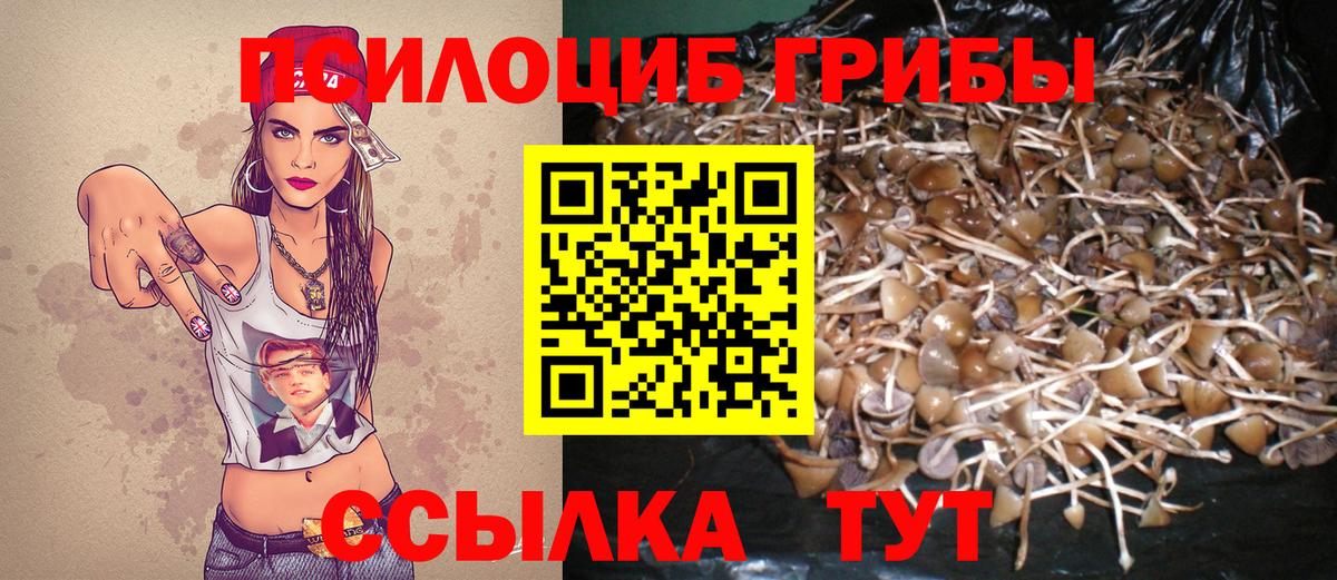 Псилоцибиновые грибы GOLDEN TEACHER  Вход с VPN  Псилоцибиновые грибы Cubensis  Вязники 