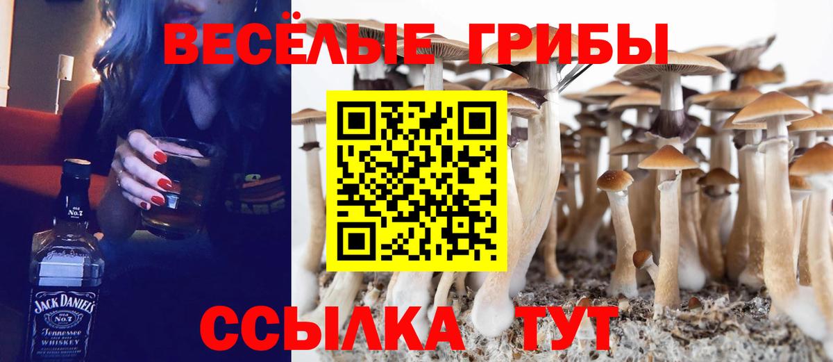 Псилоцибиновые грибы Magic Shrooms Вязники
